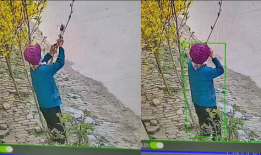 摘花视频,摘花视频背后的温馨故事